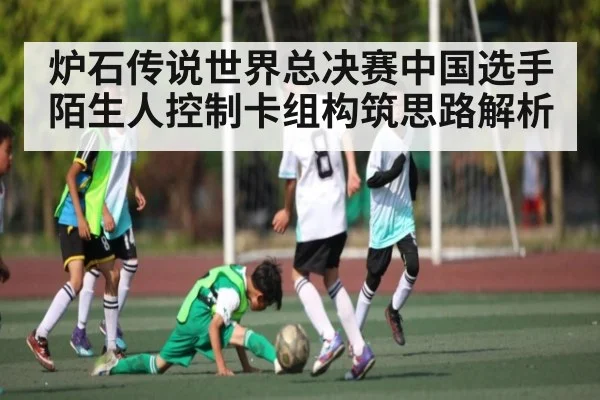 炉石传说世界总决赛中国选手陌生人控制卡组构筑思路解析