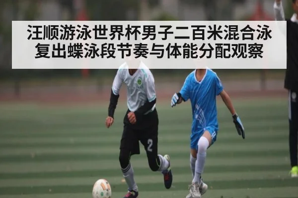 汪顺游泳世界杯男子二百米混合泳复出蝶泳段节奏与体能分配观察